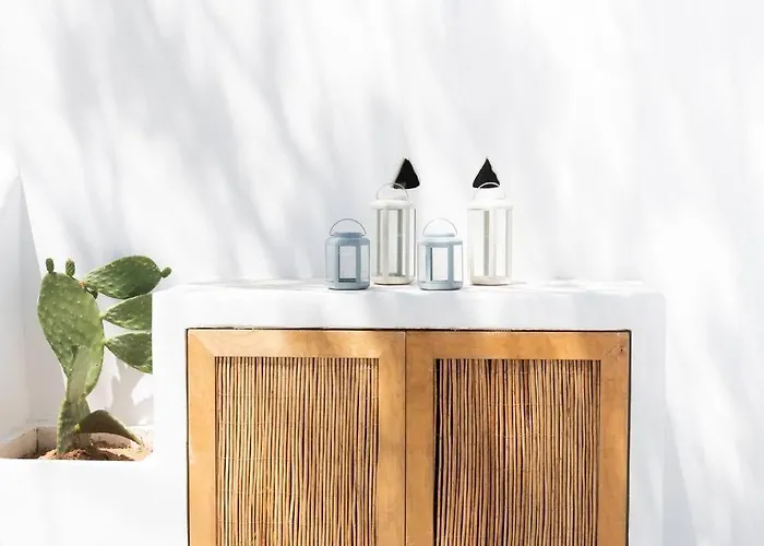 Swell S6 New In * Naousa