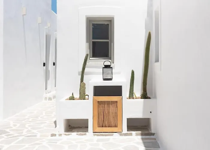 Swell S6 New In * Naousa