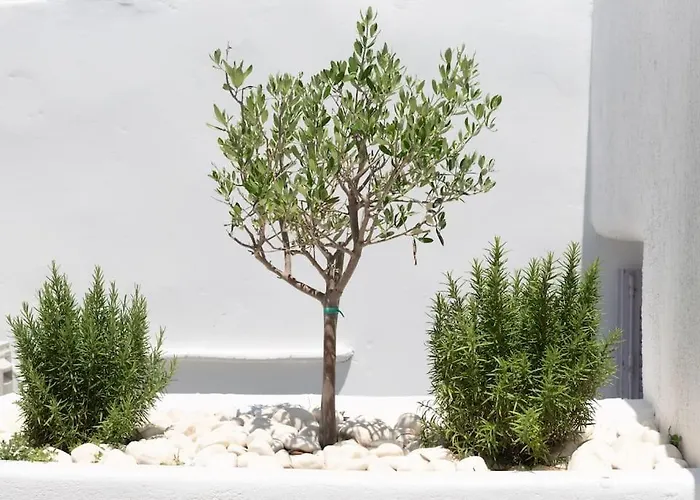 Appartement Swell S6 New In